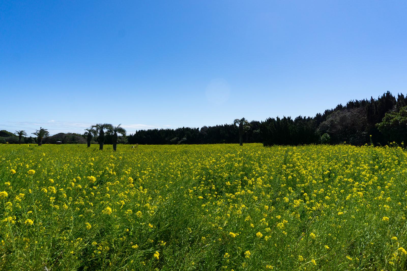 春が近づく時期に、気持ちを整える小さな習慣